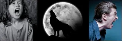 A partir de cette phrase en « vieux Français », serez-vous capable de trouver la signification « ullerie » ?
« Saoulx et yvres et s'assemblerent et font une grant ullerie ».