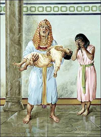 La dixième plaie fera plier Pharaon en autorisant les Hébreux à sortir d'Égypte. Quel patriarche a été le guide de cet exode ?