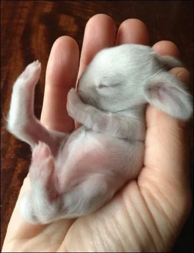 Le calibre 12 a changé de mains !