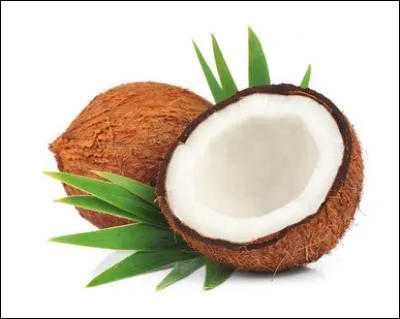 Qui est Coconut ?