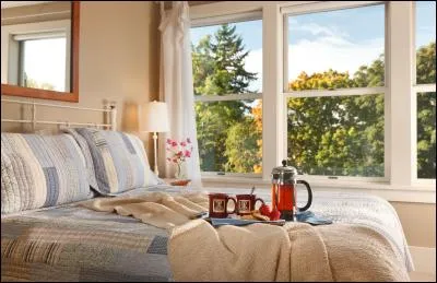 Que tiennent Paddy et Charlotte ?