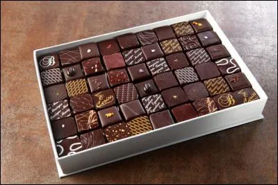 Quel "projet" monte Paddy avec l'aide de Charlotte ?