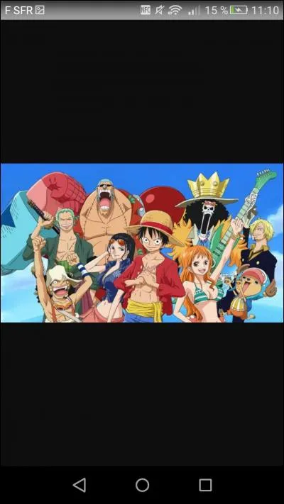 Quel est cet équipage ?