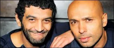 Qui a fait une série de pubs pour EDF ?