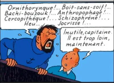 C'est une expression qui est redite plusieurs fois par le capitaine Haddock dans "Tintin".