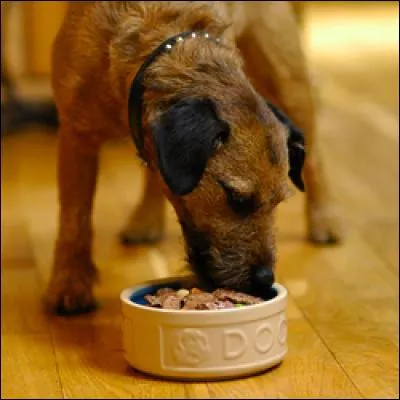 Quelle est la phrase sans aucune faute ?