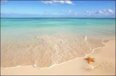 Quel est le texte le mieux orthographié ?