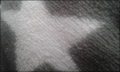 Comment s'appelle le livre dans lequel dès que tu écris le nom d'une personne, elle meurt ?