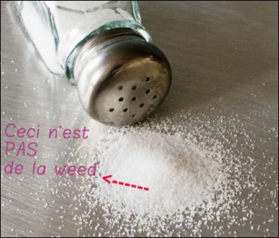 Le sel utilisé en alimentation est aussi appelé...