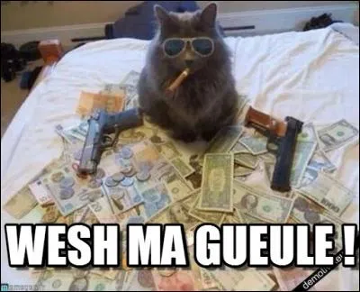 Vrai ou faux ? Le plus long mot de la langue française est "anticonstitutionnellement".