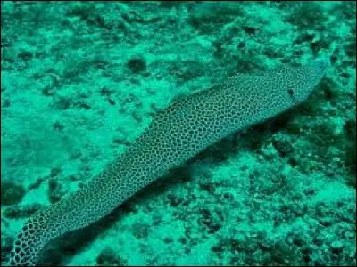 Sur la photo, on reconnaît...