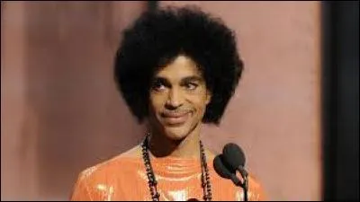 Qui est ce chanteur ?