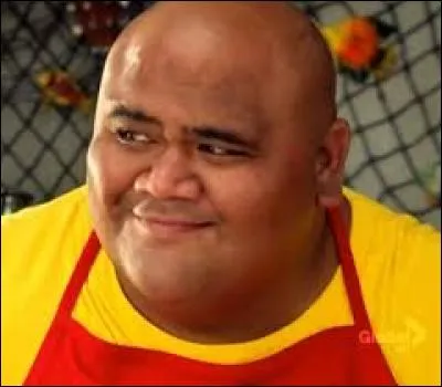 Quel est le métier de Kamekona ?