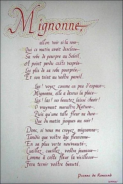 En dissertation, on vous demande "Exprimer une souffrance, un mal être, est-ce la seule vocation du poète ?". Quel type de plan utilisez-vous ?