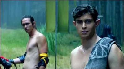 Sur la photo, il y a des...