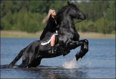 Et ce superbe cheval sortant de l'eau ?