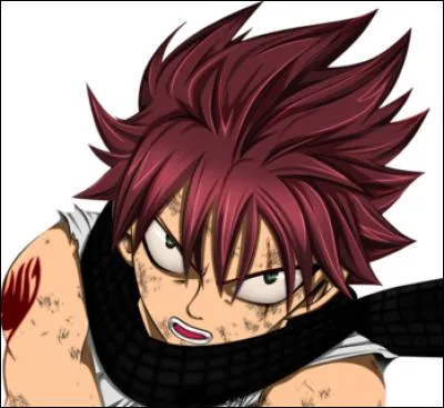 Qui réussit à rendre l'écharpe de Natsu noire ?