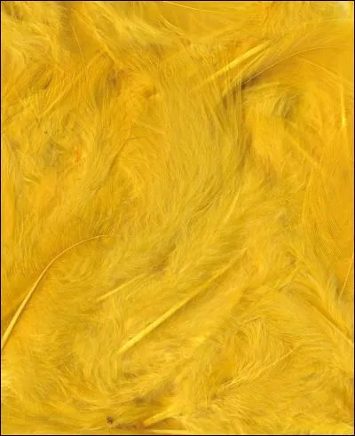 Quelle est cette couleur ?