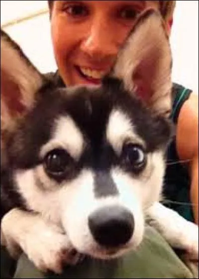 Comment s'appelle le chien de James ?