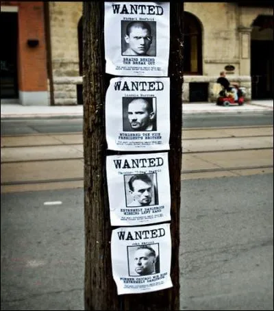 A quoi servaient ces affiches?