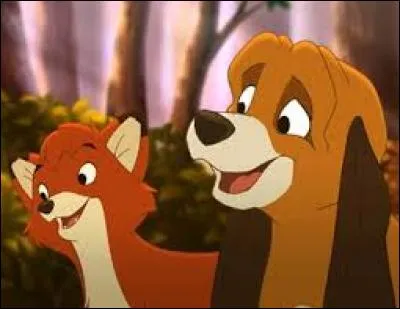 Quel est le nom du chien dans le film Disney "Rox et Rouky" ?