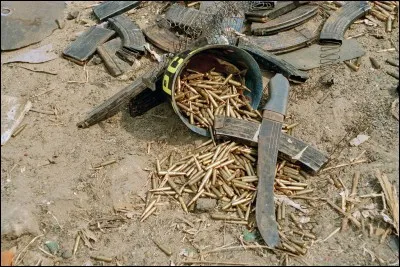 Pourquoi les Hutus ont-ils massacré les Tutsis au Rwanda en 1994 ? (deux réponses attendues)