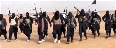 De quoi Daech a-t-elle su tirer parti pour s'installer en Irak (puis en Syrie) ? (deux réponses attendues)