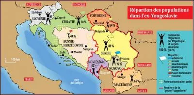 Pourquoi la guerre des Balkans (1992-1995) éclate-t-elle au lendemain de la Guerre froide ? (trois réponses attendues)
