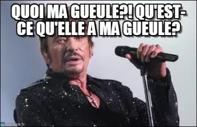 Quoi sa gueule, qu'est-ce qu'elle a sa gueule ?
