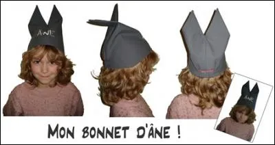 Si vous échouez, vous finirez comme sur la photo !