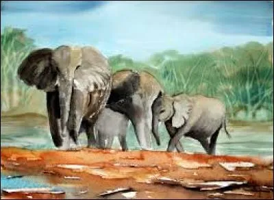 Dune couleur rouge foncé :