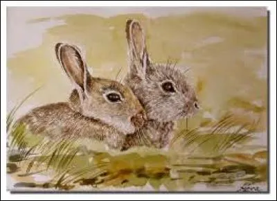 Bruiner, pleuvioter :