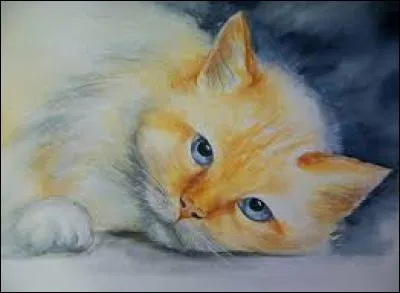 Fouler et amollir les peaux avant de les tanner :