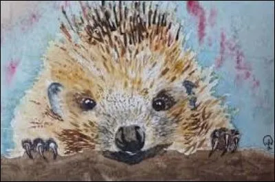 Poisson d'eau douce au corps très coloré :