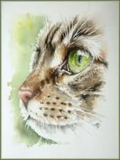 Familièrement, personne de petite taille, grosse et difforme :