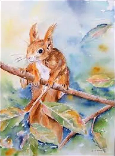 Crevasse, fissure, fendille, fêle :