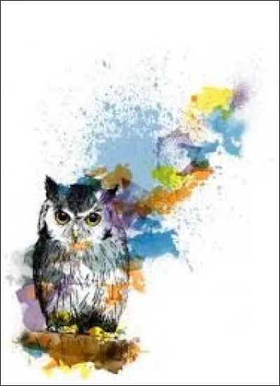 Géologie. Partie de l'écorce terrestre qui a survécu à la fusion et à la séparation des continents depuis au moins 500 millions d'années :