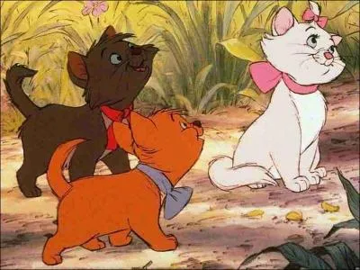 Quels sont nos prnoms ?