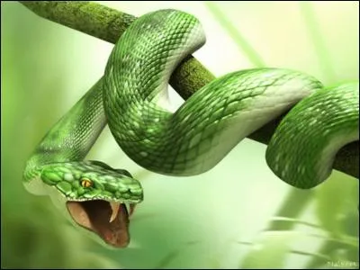 Que signifie "mithridatisme" au sens propre ?