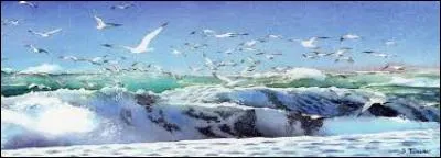 Qualifie un animal qui se nourrit de crabes :