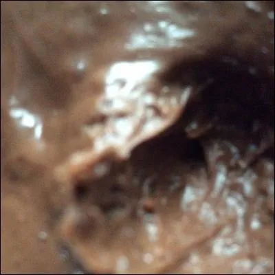 Qu'est-ce que c'est ?