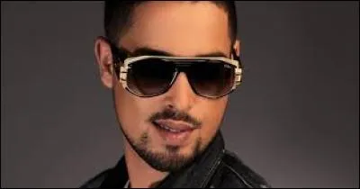 Quel chanteur dit : "Chérie, t'es un missile, laisse-moi te piloter" ?