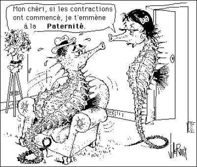 Ce quiz peut provoquer de violentes contractions, donc madame, si vous avez un polichinelle dans le tiroir, il est extrêmement déconseillé de vous y attaquer !