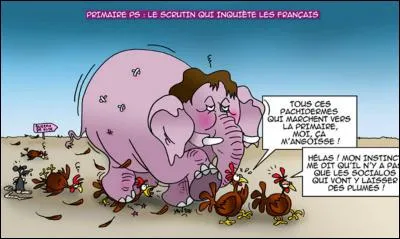 Mais je ne vais pas me mettre martel en tête !