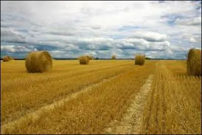 Et donc un agrosystème, c'est quoi ?