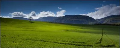 Vrai ou faux ? Les exportations (blé) sont fréquentes dans les agrosystèmes.