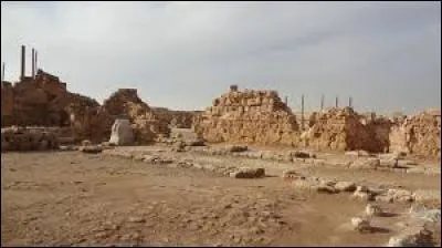 Lequel de ces patrimoines mondiaux est en péril ?