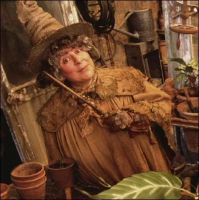 Quel est le pr&eacute;nom du professeur Chourave ?