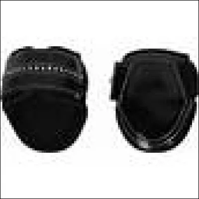 Comment se nomme cette protection ?