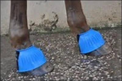 Comment se nomme cette protection ?